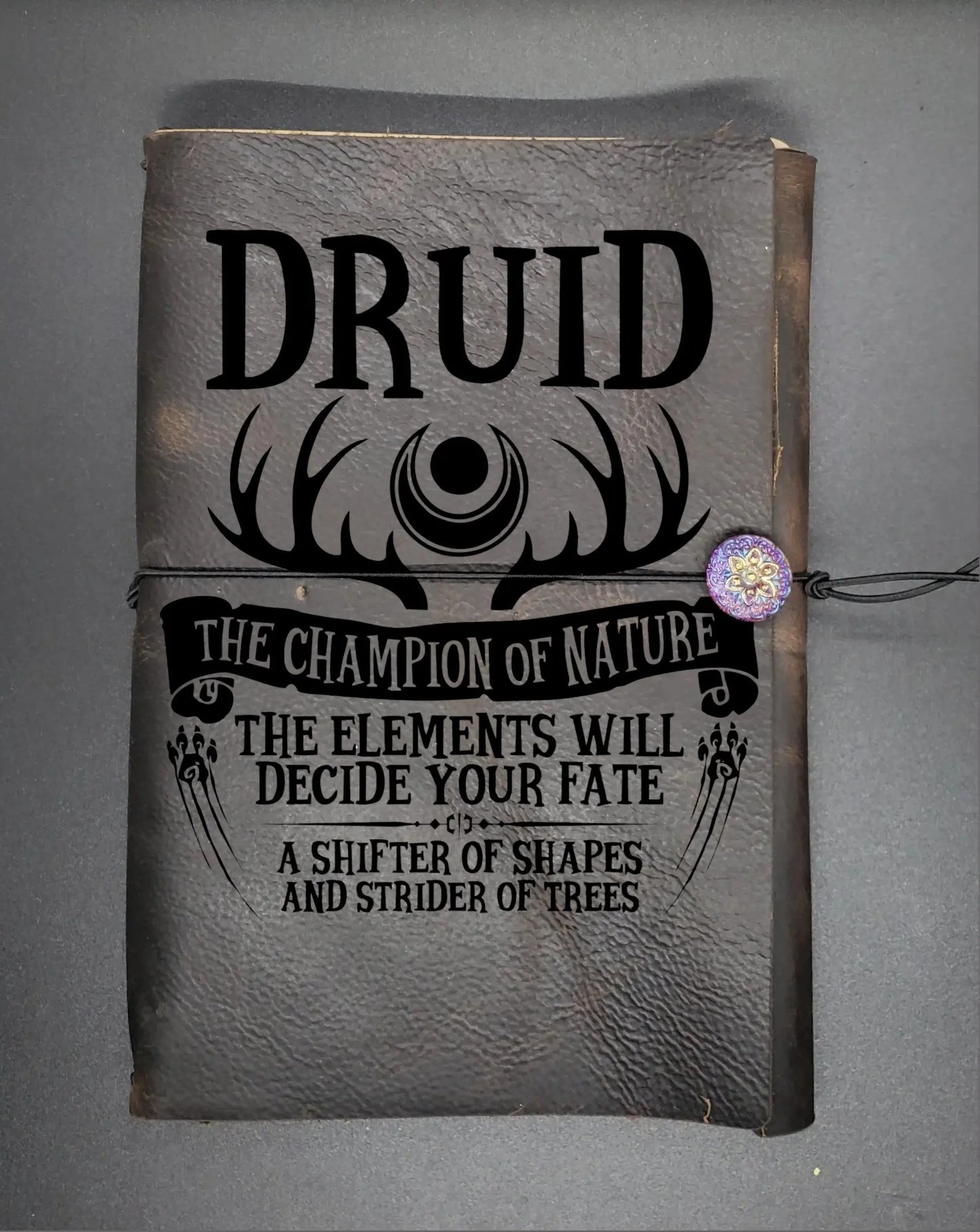 DnD Druid Character Journal