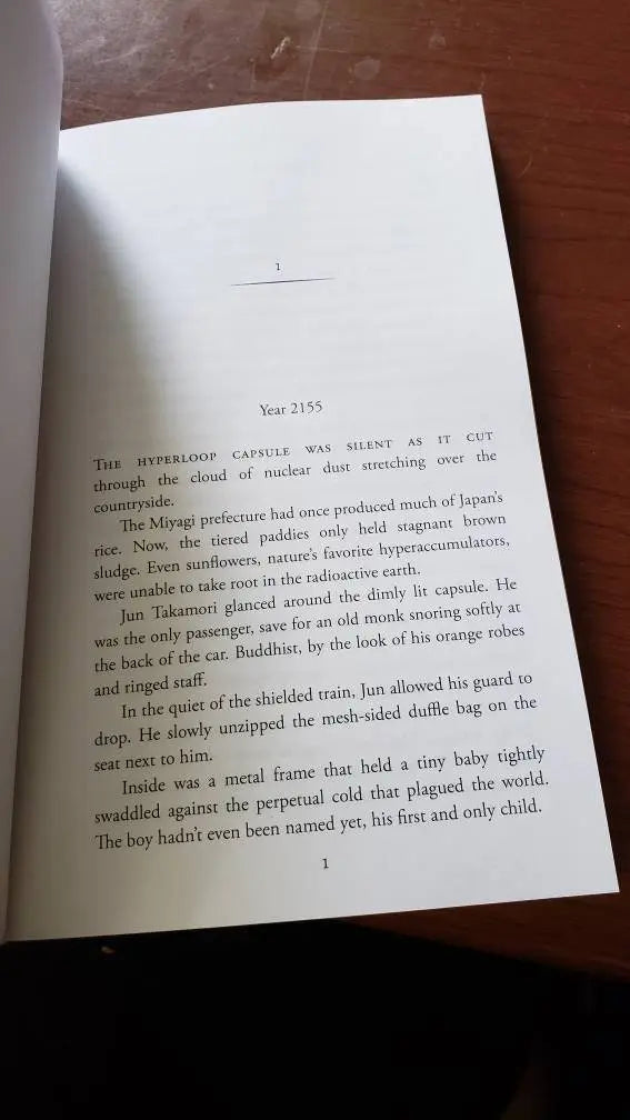 LGBTQIA+ Novel Ruined World: The Last Moon Witch, Cyberpunk Fantasy, Speculative Fiction, Urban Fiction, - moonlitbeading