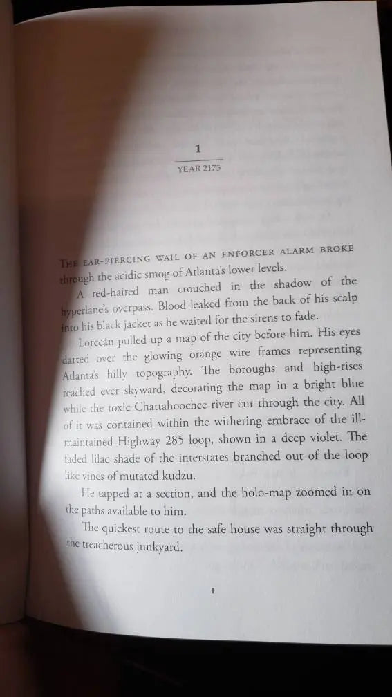 Ruined World: Alliance, Queer Cyberpunk Sci-fi Fantasy - moonlitbeading