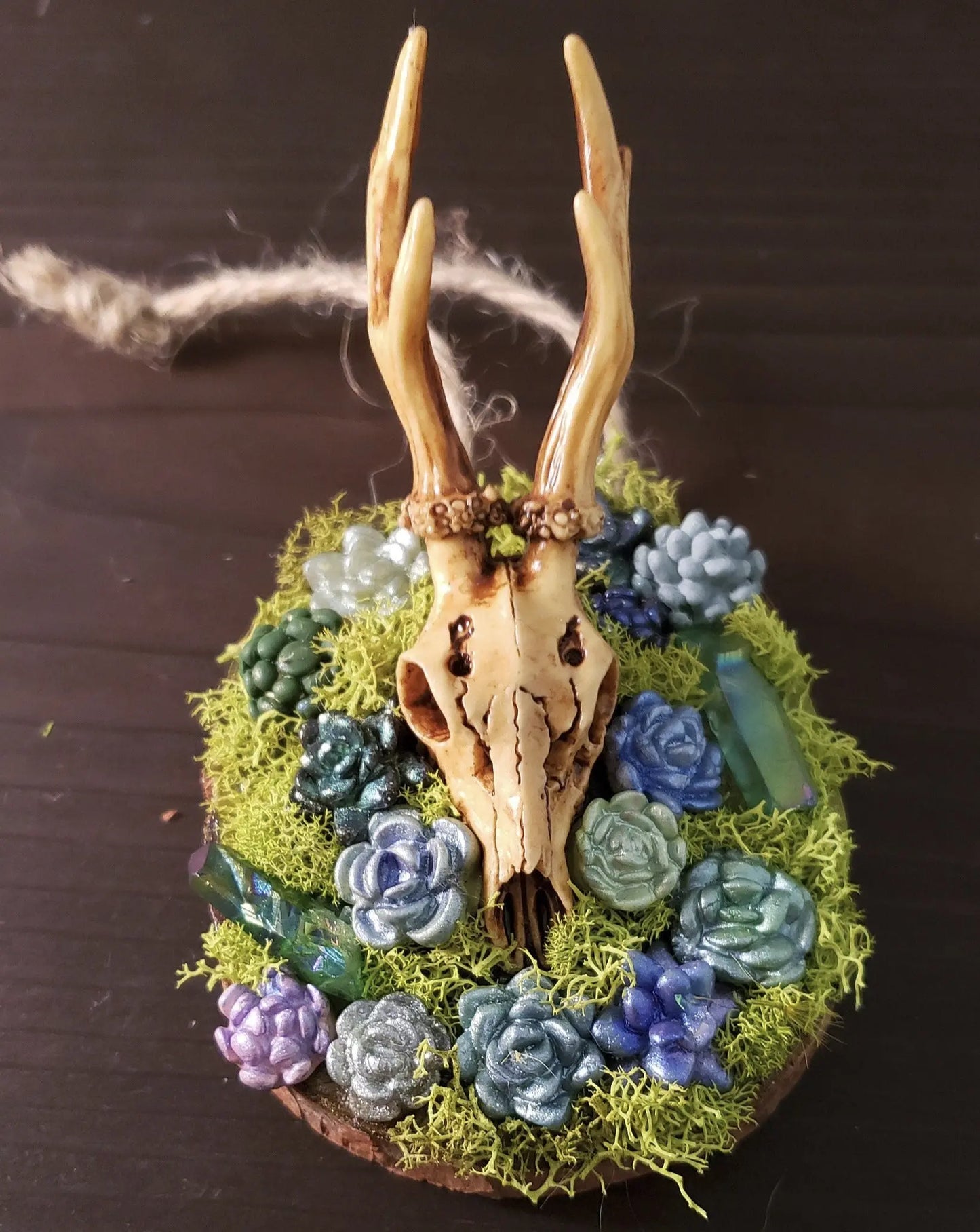 Stag Skull Succlent Garden Sculpture    altar decor, crystal cluster, deer, stag
